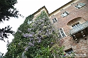 VBS_0920 - Castello di Piea d'Asti
